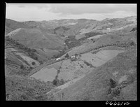 Corozal, Puerto Rico (vicinity). Hill farms in the country. Sourced from the Library of Congress.