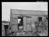 Christiansted, Saint Croix Island, Virgin Islands (vicinity). At one of the slum "villages". Sourced from the Library of Congress.