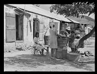 [Untitled photo, possibly related to: Frederkiksted (vicinity), Saint Croix Island, Virgin Islands. One of the slum villages]. Sourced from the Library of Congress.