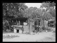 Christiansted (vicinity), Saint Croix Island, Virgin Islands. Chicken coops constructed with odds and ends by occupants of the leper colony. Sourced from the Library of Congress.