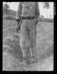 Christiansted (vicinity), Saint Croix Island, Virgin Islands. Outfit worn by a farmer who was planting sugar cane. Sourced from the Library of Congress.