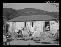 Charlotte Amalie, Saint Thomas Island, Virgin Islands. Backyard of one of the slum sections along the waterfront. Sourced from the Library of Congress.