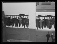 Santurce, Puerto Rico. These umbrellas were carried to work by women who are employed by the Rodriguez needlework factory. Sourced from the Library of Congress.