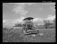 Guanica, Puerto Rico (vicinity). A "gyrotiller" plowing a sugar cane field. Sourced from the Library of Congress.