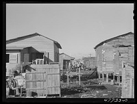[Untitled photo, possibly related to: San Juan, Puerto Rico. In the huge slum area known as "El Fangitto" ("the mud")]. Sourced from the Library of Congress.