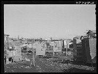 San Juan, Puerto Rico. In the huge slum area known as "El Fangitto" ("the mud"). Sourced from the Library of Congress.