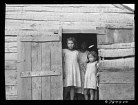 [Untitled photo, possibly related to: Yauco, Puerto Rico (vicinity). Family of a FSA (Farm Security Administration) borrower in their home]. Sourced from the Library of Congress.
