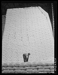 Ensenada, Puerto Rico. Bags of refined sugar in the warehouse of the South Puerto Rico Sugar Company. Sourced from the Library of Congress.