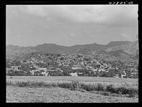 [Untitled photo, possibly related to: Yauco, Puerto Rico. The town, with slums sprawled on the hillside]. Sourced from the Library of Congress.