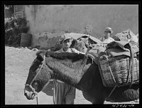 [Untitled photo, possibly related to: Yauco, Puerto Rico (vicinity). Farmers from the hills with provisions bought in town to take home]. Sourced from the Library of Congress.