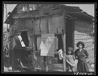 San Sebastian, Puerto Rico (vicinity). Four persons live in the shack. All are farm laborers working in the nearby cane fields. Sourced from the Library of Congress.