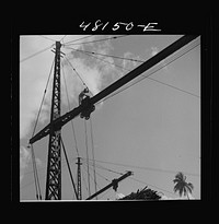 San Sebastian, Puerto Rico (vicinity). Workman repairing a crane at a "central". Sourced from the Library of Congress.