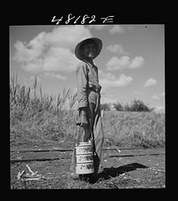 [Untitled photo, possibly related to: Rio Piedras (vicinity), Puerto Rico. Son of one of the FSA (Farm Security Administration) farmers on the Rio Piedras project who brought lunch to his father, working in the sugar cane field]. Sourced from the Library of Congress.