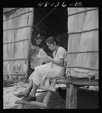 Utuado, Puerto Rico (vicinity). Stitching needlework at the home of a farm labor family in the hills. It is a widespread practice for factories to distribute hand work in this way. Sourced from the Library of Congress.