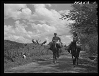 Manati (vicinity), Puerto Rico. On a road. Sourced from the Library of Congress.
