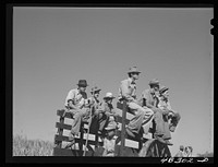 [Untitled photo, possibly related to: Rio Piedras (vicinity), Puerto Rico. FSA (Farm Security Administration) borrowers harvesting sugar cane cooperatively on a farm]. Sourced from the Library of Congress.