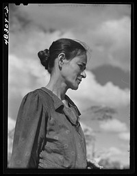 Rio Piedras (vicinity), Puerto Rico. Wife of a FSA (Farm Security Administration) borrower. The family was one of thirty participating in a FSA-sponsored sugar cooperative. Sourced from the Library of Congress.