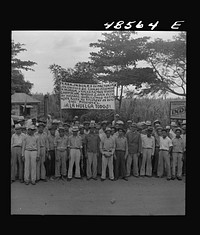 [Untitled photo, possibly related to: Yabucoa, Puerto Rico. Strikers on the picket line at a sugar mill]. Sourced from the Library of Congress.