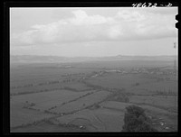 [Untitled photo, possibly related to: Yabucoa Valley, Puerto Rico. This sugar cane land is owned by the sugar mill in Yabucoa]. Sourced from the Library of Congress.