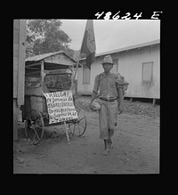 [Untitled photo, possibly related to: Yabucoa, Puerto Rico. Old man on strike against the management of a sugar plantation]. Sourced from the Library of Congress.