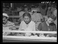 [Untitled photo, possibly related to: Bayamon, Puerto Rico (vicinity). A pineapple canning factory]. Sourced from the Library of Congress.