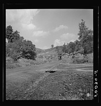 [Untitled photo, possibly related to: Company houses, coal mining section. Pursglove, Scotts Run, West Virginia]. Sourced from the Library of Congress.