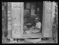 [Untitled photo, possibly related to: Bayamon, Puerto Rico. Shoemaker's shop]. Sourced from the Library of Congress.