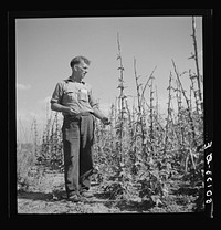 [Untitled photo, possibly related to: Coal miner, now unemployed, town philosopher, experiments with garden. Jere, West Virginia. Says, "Jes so long as I sees things movin' and betterin' I don't care how much benefits I get from it." See 50057-E, 30219-M3]. Sourced from the Library of Congress.