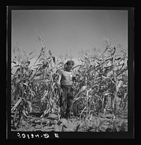 [Untitled photo, possibly related to: Coal miner, now unemployed, town philosopher, experiments with garden. Jere, West Virginia. Says, "Jes so long as I sees things movin' and betterin' I don't care how much benefits I get from it." See 50057-E, 30219-M3]. Sourced from the Library of Congress.