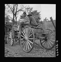 [Untitled photo, possibly related to: Hauling coal up the hill, picked up near mines, to his home. Chaplin, West Virginia]. Sourced from the Library of Congress.