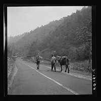 Miners returning home along main county road with provisions. Mohegan, West Virginia. Sourced from the Library of Congress.