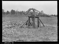 [Untitled photo, possibly related to: Grinding mill for sorghum cane made by Indian family near Summerville, South Carolina]. Sourced from the Library of Congress.