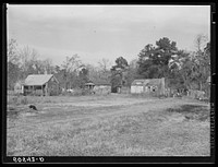 [Untitled photo, possibly related to:  homes near Charleston, South Carolina]. Sourced from the Library of Congress.