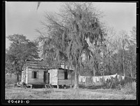  shack near Beaufort, South Carolina. Negro living there is a bricklayer. Sourced from the Library of Congress.
