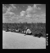 [Untitled photo, possibly related to: Lunch hour for  tomato pickers. Homestead, Florida]. Sourced from the Library of Congress.