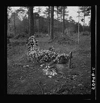 [Untitled photo, possibly related to: Graveyard in rear of church. Summerville, South Carolina]. Sourced from the Library of Congress.