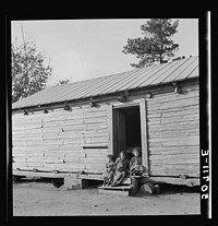[Untitled photo, possibly related to: Indian (mixed blood) family near Pembroke Farms, North Carolina]. Sourced from the Library of Congress.