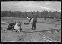 [Untitled photo, possibly related to: Construction of houses (reading plans and measuring), Jersey Homesteads, Hightstown, New Jersey] by Russell Lee