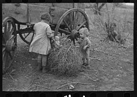 [Untitled photo, possibly related to: Children of Earl Pauley, playing with dolls in tumbleweed, near Smithland, Iowa] by Russell Lee