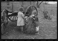 Children of Earl Pauley, playing with dolls in tumbleweed, near Smithland, Iowa by Russell Lee