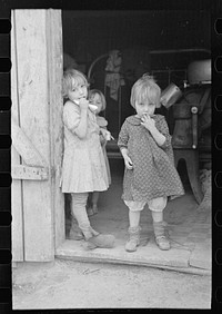 Children of Earl Pauley in doorway, near Smithland, Iowa by Russell Lee