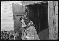 Wife of Bohemian farmer near Black River Falls, Wisconsin by Russell Lee