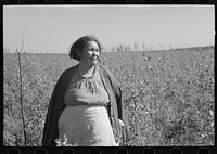 Indian woman, near Little Fork, Minnesota by Russell Lee