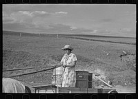 [Untitled photo, possibly related to: Mrs. Olie Thompson driving wagon loaded with water barrels. North Dakota] by Russell Lee