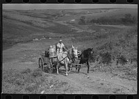 Mrs. Olie Thompson driving wagon loaded with water barrels. North Dakota by Russell Lee
