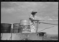 Mrs. Olie Thompson about to drive home from the spring with barrels full of water. Williams County, North Dakota by Russell Lee