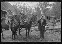 [Untitled photo, possibly related to: Taking the team to the barn, near Northome, Minnesota] by Russell Lee