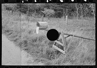 [Untitled photo, possibly related to: Mail box of cut-over farm, near Northome, Minnesota] by Russell Lee