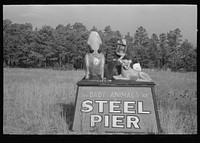 [Untitled photo, possibly related to: Statue group of animals advertising menagerie at steel pier, Atlantic City, New Jersey] by Russell Lee