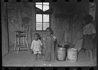 Southeast Missouri Farms. Family of sharecropper in kitchen of shack by Russell Lee